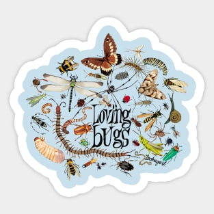 Loving bugs Sticker